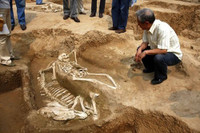 Khám phá lăng mộ ngựa có một không hai ở Trung Quốc ảnh 5