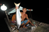 Mùa săn cá bông lau ở miền Tây ảnh 9