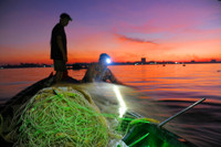 Mùa săn cá bông lau ở miền Tây ảnh 6