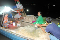 Mùa săn cá bông lau ở miền Tây ảnh 2