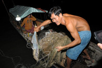 Mùa săn cá bông lau ở miền Tây ảnh 8