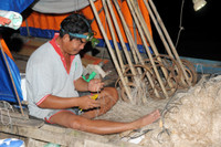 Mùa săn cá bông lau ở miền Tây ảnh 3