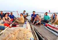 Mùa săn cá bông lau ở miền Tây ảnh 1