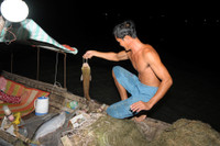 Mùa săn cá bông lau ở miền Tây ảnh 15