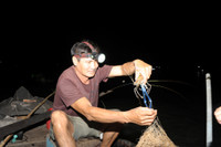 Mùa săn cá bông lau ở miền Tây ảnh 14