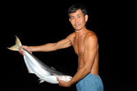 Mùa săn cá bông lau ở miền Tây ảnh 10