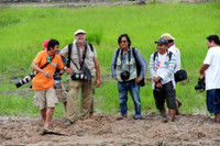 Sôi nổi Lễ hội đua bò vùng Bảy Núi ảnh 17