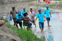 Sôi nổi Lễ hội đua bò vùng Bảy Núi ảnh 12