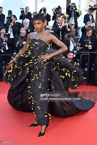 Hoa hậu đẹp nhất thế giới xuất hiện lộng lẫy tại Cannes 2024