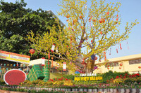 Trường Cao đẳng Đại Việt Sài Gòn xác lập một kỷ lục Việt Nam ảnh 4 Trường Cao đẳng Đại Việt Sài Gòn xác lập một kỷ lục Việt Nam ảnh 4