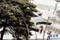 Tuyết phủ trắng xóa Bắc Kinh chỉ sau một đêm ảnh 11