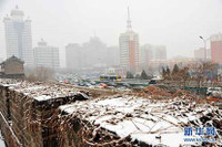 Tuyết phủ trắng xóa Bắc Kinh chỉ sau một đêm ảnh 13