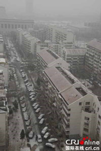 Tuyết phủ trắng xóa Bắc Kinh chỉ sau một đêm ảnh 7