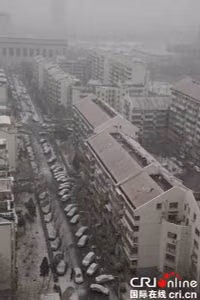 Tuyết phủ trắng xóa Bắc Kinh chỉ sau một đêm ảnh 7