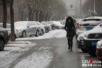 Tuyết phủ trắng xóa Bắc Kinh chỉ sau một đêm ảnh 4