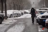 Tuyết phủ trắng xóa Bắc Kinh chỉ sau một đêm ảnh 4