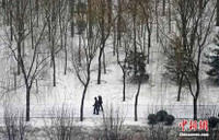 Tuyết phủ trắng xóa Bắc Kinh chỉ sau một đêm ảnh 8