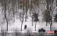 Tuyết phủ trắng xóa Bắc Kinh chỉ sau một đêm ảnh 8