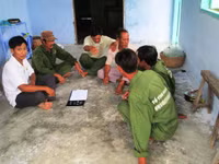 Cận cảnh rùa biển vượt cạn 12