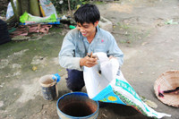 Độc đáo nghề săn dế cơm ở miền Tây ảnh 15