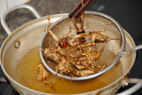 Độc đáo nghề săn dế cơm ở miền Tây ảnh 16