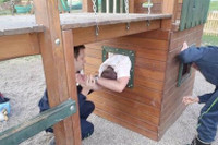 Những tình huống mắc kẹt “hài hước“ ảnh 6