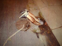 Những tình huống mắc kẹt “hài hước“ ảnh 7