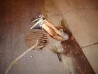 Những tình huống mắc kẹt “hài hước“ ảnh 7