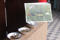 "Màu sắc hóa" cho môn học Ngữ văn ảnh 6