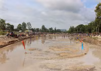 An Giang: Sôi nổi lễ hội đua bò ảnh 3