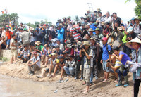 An Giang: Sôi nổi lễ hội đua bò ảnh 2