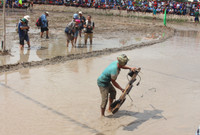 An Giang: Sôi nổi lễ hội đua bò ảnh 9