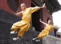 Tận mục tuyệt kỹ Thiếu Lâm huyền thoại ảnh 1