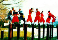 Tận mục tuyệt kỹ Thiếu Lâm huyền thoại ảnh 8