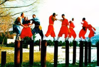 Tận mục tuyệt kỹ Thiếu Lâm huyền thoại ảnh 8