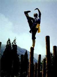 Tận mục tuyệt kỹ Thiếu Lâm huyền thoại ảnh 7