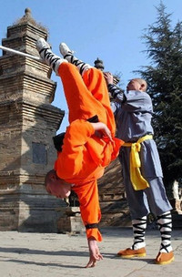 Tận mục tuyệt kỹ Thiếu Lâm huyền thoại ảnh 6