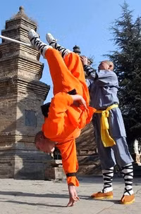 Tận mục tuyệt kỹ Thiếu Lâm huyền thoại ảnh 6