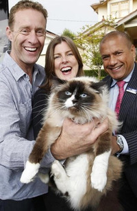 Chóng mặt những động thái “khùng” của đại gia 2014 ảnh 5