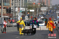 Kỳ quặc “thầy trò Đường Tăng” dắt lợn trên phố ảnh 2