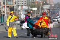 Kỳ quặc “thầy trò Đường Tăng” dắt lợn trên phố ảnh 4