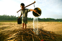 Nghề ươm giá trong cát độc đáo bên sông Thu Bồn ảnh 2