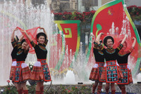 Tưng bừng hội báo Xuân toàn quốc 2015 ảnh 6