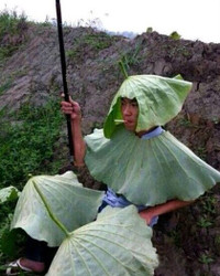 f7ec1b1b2d32e17d2fa03e76926245-8985-1344