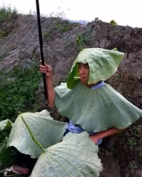 f7ec1b1b2d32e17d2fa03e76926245-8985-1344