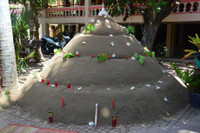 Người Khmer Sóc Trăng vui đón Tết Chol Chnam Thmay ảnh 3