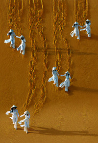 Vẻ đẹp phụ nữ VN qua ống kính nữ nhiếp ảnh gia ảnh 9