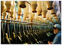 Vẻ đẹp phụ nữ VN qua ống kính nữ nhiếp ảnh gia ảnh 5