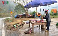 Lào Cai: Rét “nàng Bân” khiến trâu Sa Pa lại chết hàng loạt ảnh 7 lao cai: ret