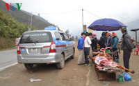 Lào Cai: Rét “nàng Bân” khiến trâu Sa Pa lại chết hàng loạt ảnh 8 lao cai: ret